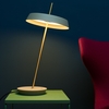 Дизайнерский настольный светильник Giro - фото 7