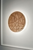 Дизайнерский настенный светильник Eclipse Dry Lamp - фото 2