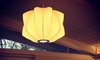 Подвесной светильник Poppy Light - фото 5