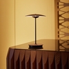 Дизайнерский настольный светильник Ginger table lamp - фото 2