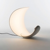 Дизайнерский настольный светильник Luna Table Lamp - фото 2