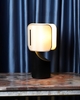 Дизайнерский настольный светильник Ibiza - фото 4