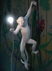 Дизайнерский настенный светильник Monkey wall lamp - фото 1