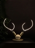 Дизайнерский настольный светильник Horni Table Lamp - фото 1