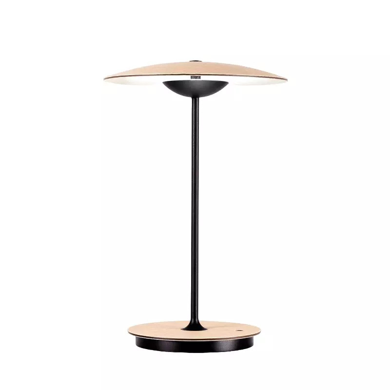 Дизайнерский настольный светильник Ginger table lamp