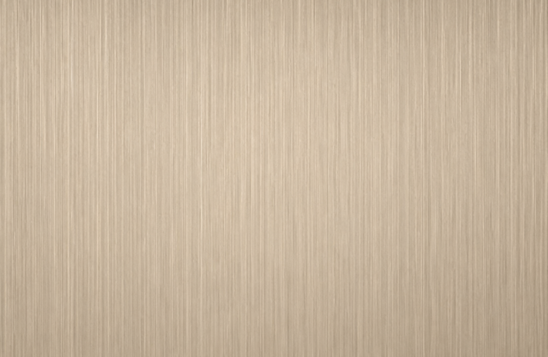 Стеновая панель Stainless steel WD25013