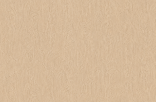 Wood series SPC W1030