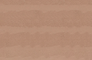 Rammed Earth Western Camel
