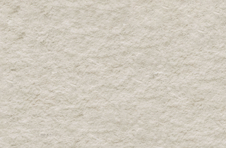 Rough Granite Beige