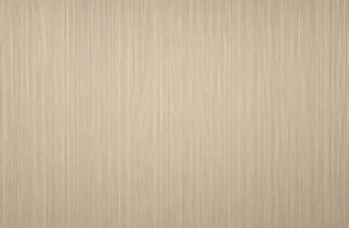 Stainless steel WD25013