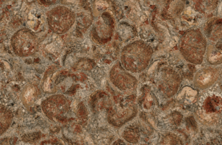 Stone Series SPC NP25066