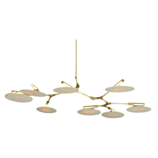 Branching Discs 09.01