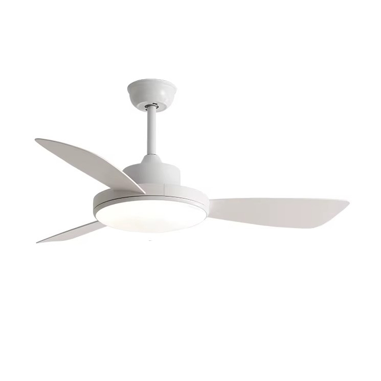 Дизайнерский вентилятор Fraylenne